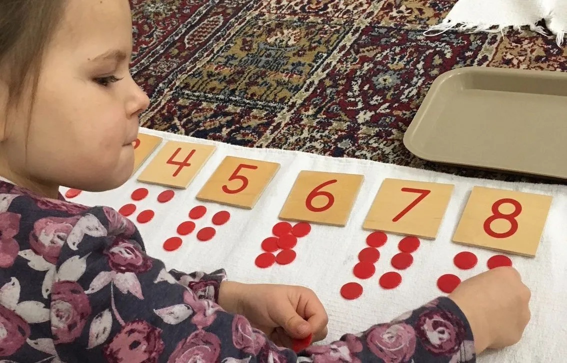 Ages 3-14 Montessori School in Pittsburgh PA | Montessori Children's Community | Student Working with Math Materials